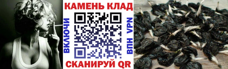 магазин    Ардатов  Гашиш Premium 