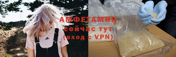 ешки Алексин