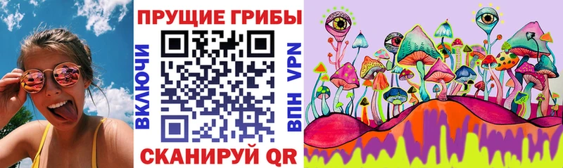 Галлюциногенные грибы Psilocybine cubensis  Ардатов 